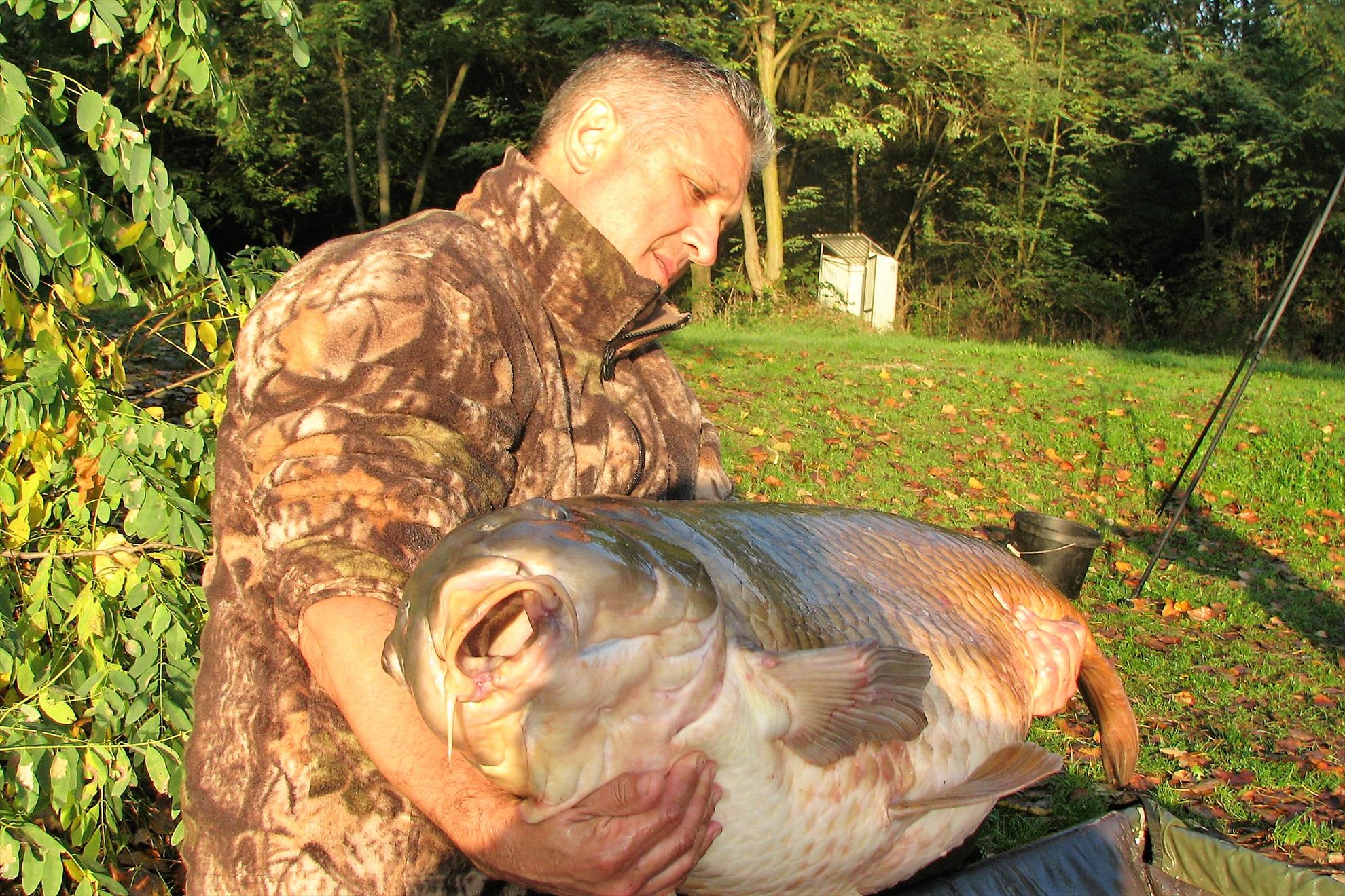 Pelagicevo 8 - 15 octombrie 2017 - 37,4 kg